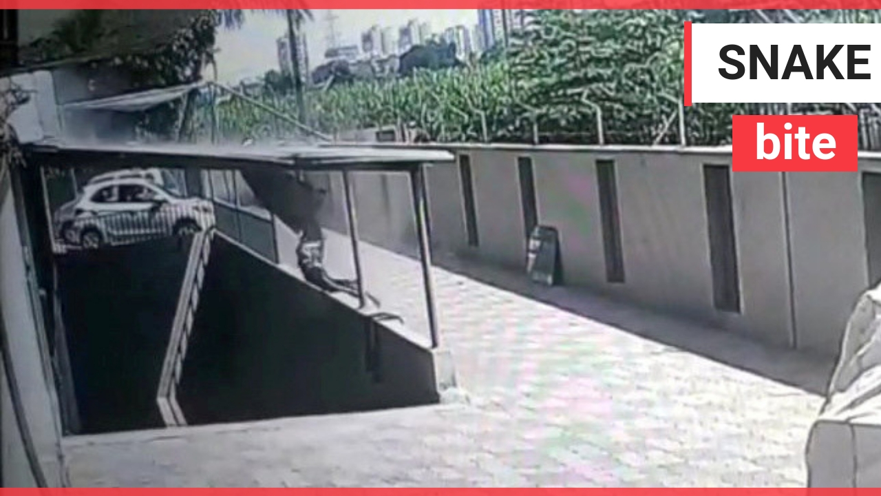 Teenage girl survives horror plummet from 12th storey of apartment building