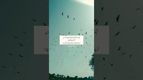 Aik Bar Tum Hasil Hu Jao ||Roohi Writes|| #chand #ishq #poetry #shayari