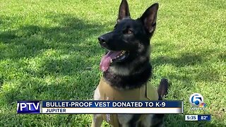 K9 vest