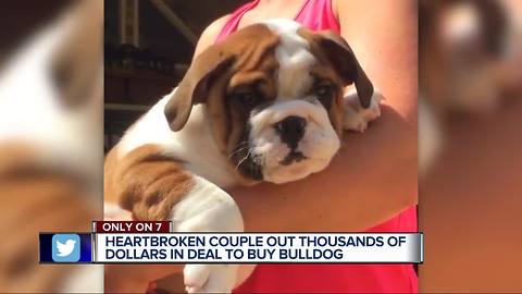 Woman says she was scammed by dog breeder after trying to adopt bulldog online