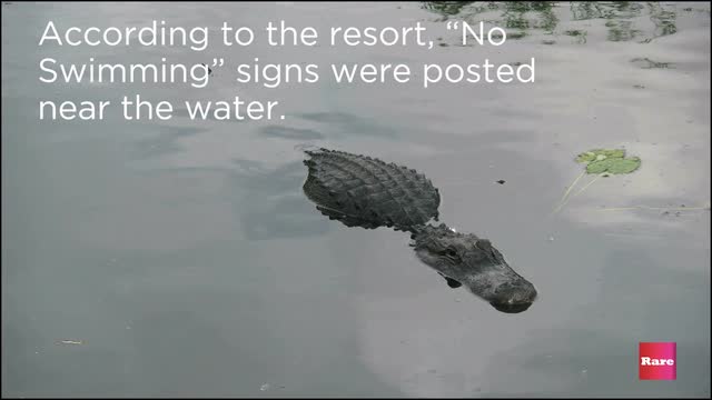 Alligator attacks toddler at Disney World | Rare News