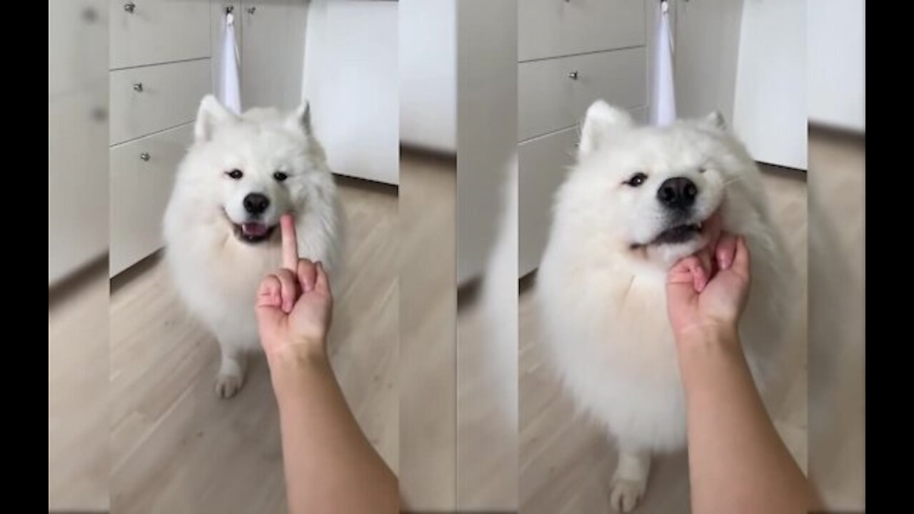 showing middle finger could have been fatal.