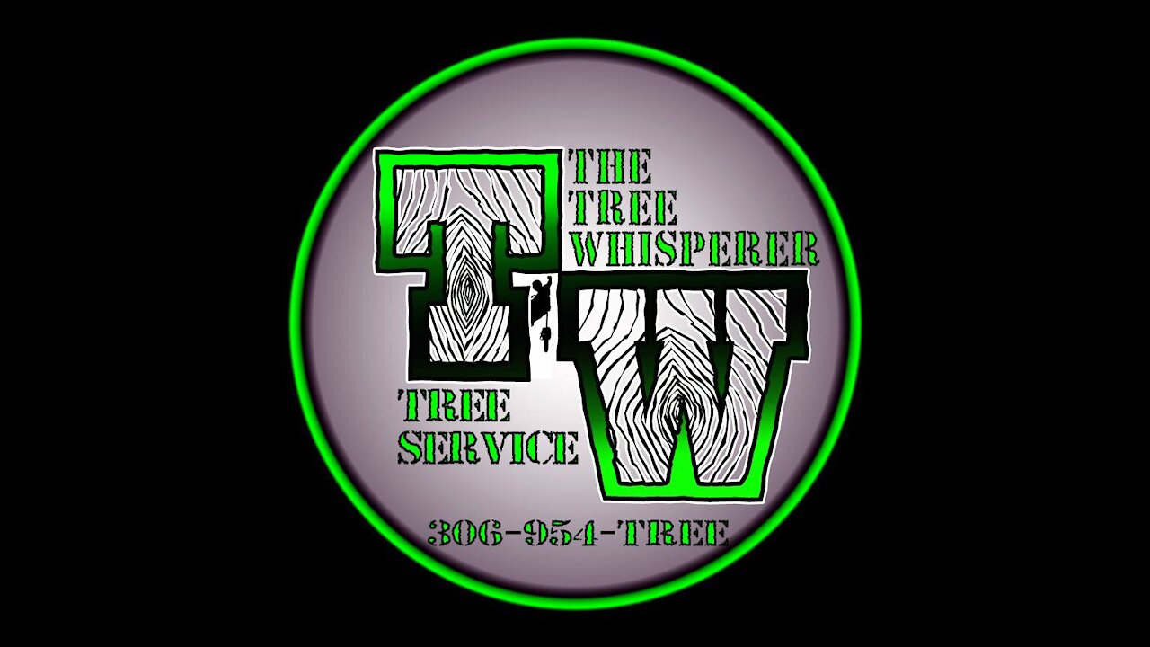 The Tree Whisperer Crew Bringing Top Down of Large Spruce