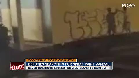 Spray-painter targets seven Polk County businesses