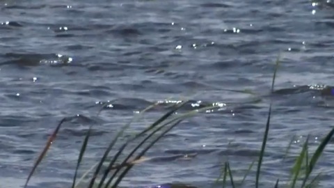 Dry conditions helping Lake O recover from Hurricane Irma