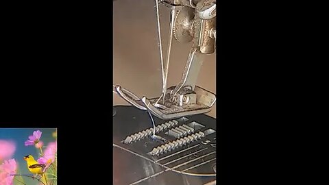 Sewing Pillow Cases and Some Close Ups