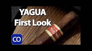 J C Newman YAGUA First Look