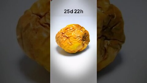 Most Popular time lapse fruits video #shorts (2)