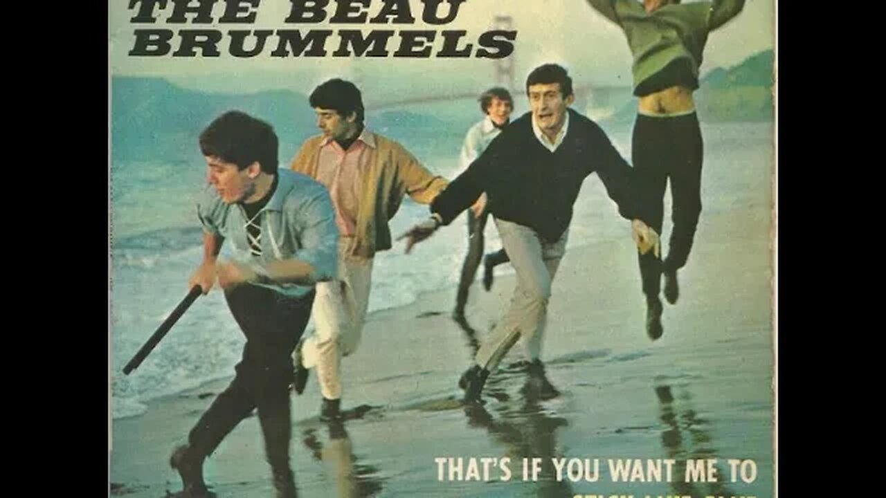 Beau Brummels "Just A Little"