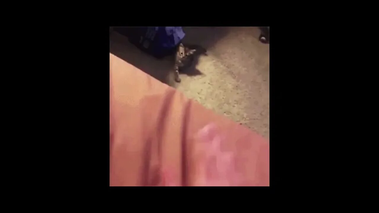 C’mere. No, you c’mere.