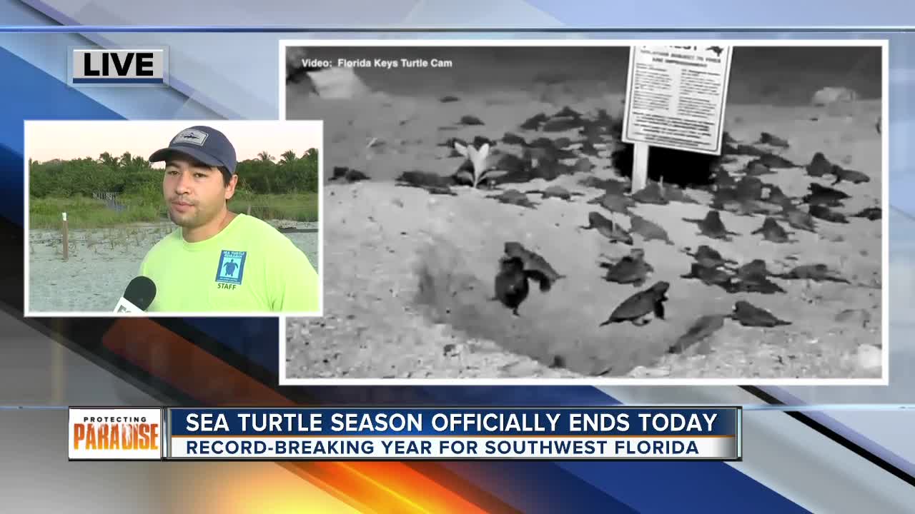 Conservation experts speak on red tide sea turtle research