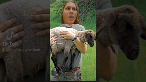 JSEM ZOOFIL!? 😲🤣 #funny #tiktok #shorts