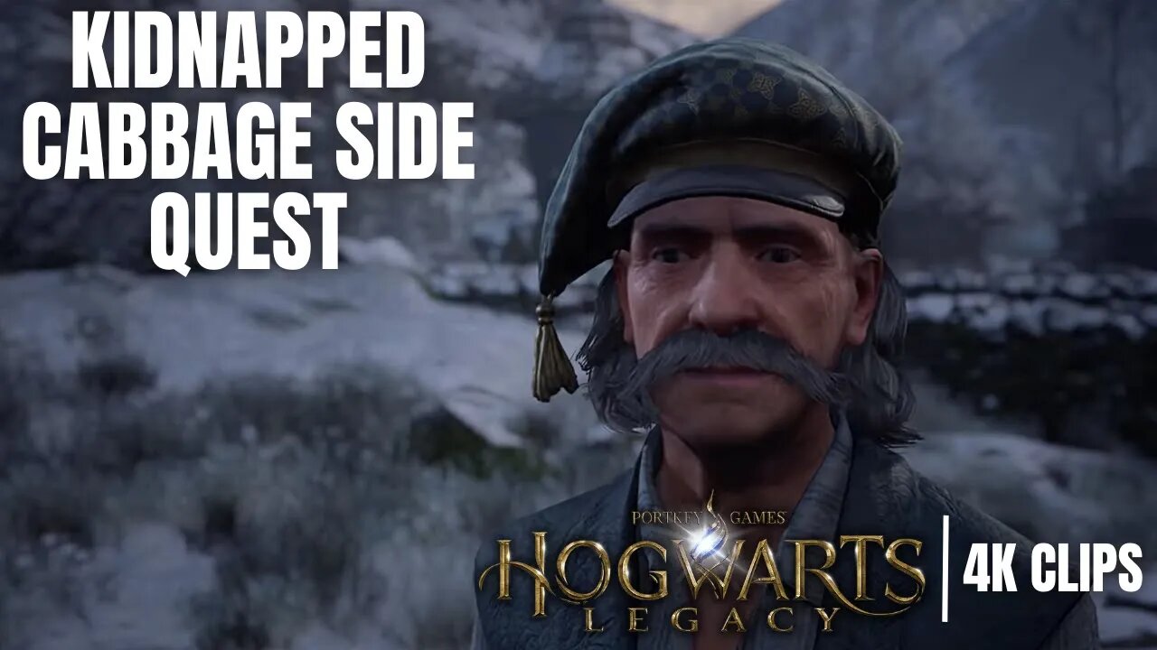 Kidnapped Cabbage Side Quest | Hogwarts Legacy 4K Clips