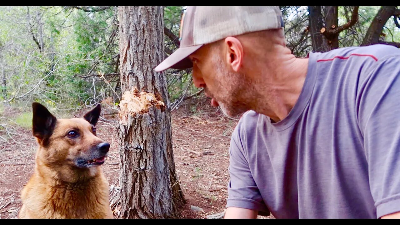 Forest Fires in Colorado, What Is My Next Move?? #VANLIFE in a 4x4 Truck - Year 6