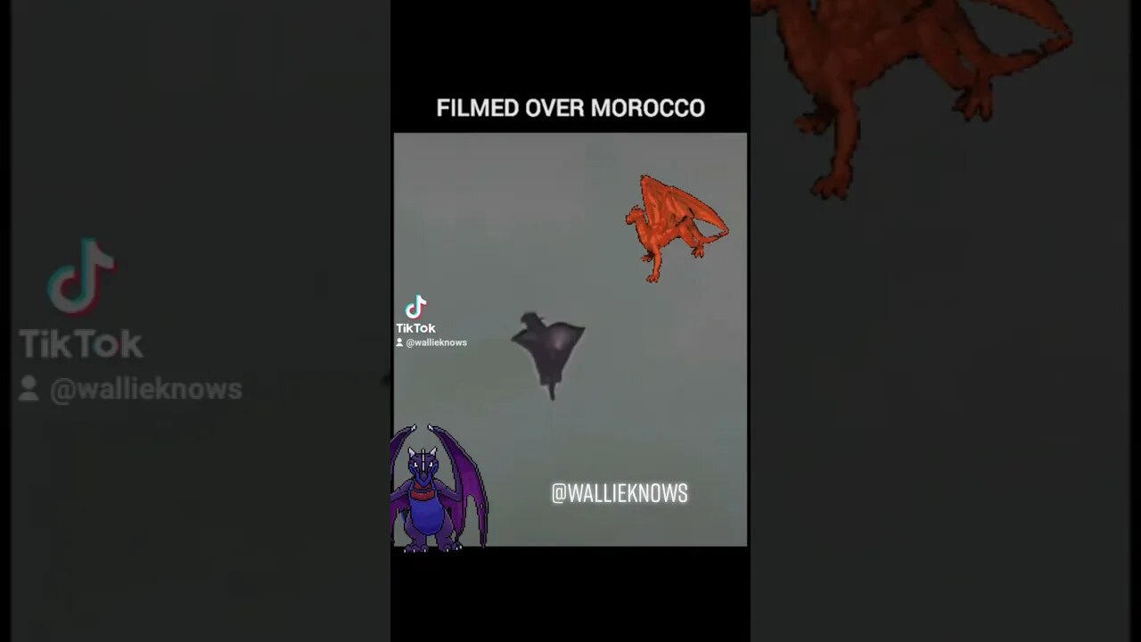 dragon