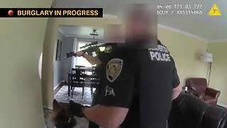 The great robot vacuum robbery