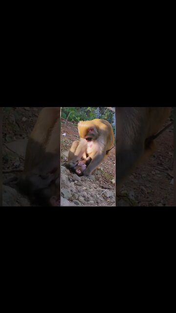 Most Amazing and trending video||relaxing your mind||trendig videos|| #shorts #trending #viral #live