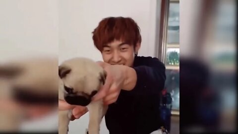 Best Friend - Cute and Funny Animals Videos Compilation | funnycog