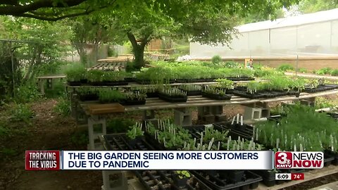 The Big Garden sees rise in customers due to pandemic