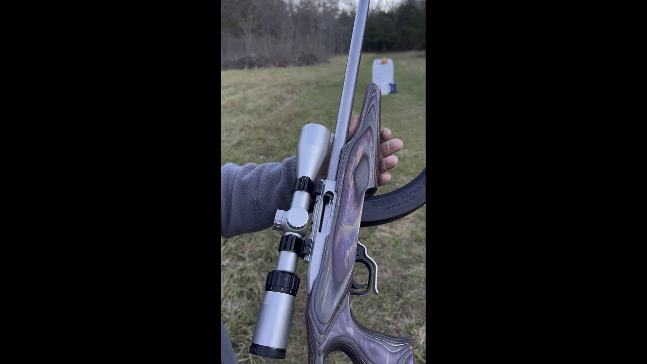 Ruger 10/22 Custom