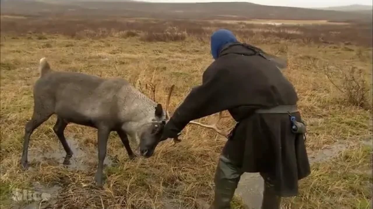 Komi, = the = nomads = from = the = Arctic = circle = = SLICE = = Full = documentary