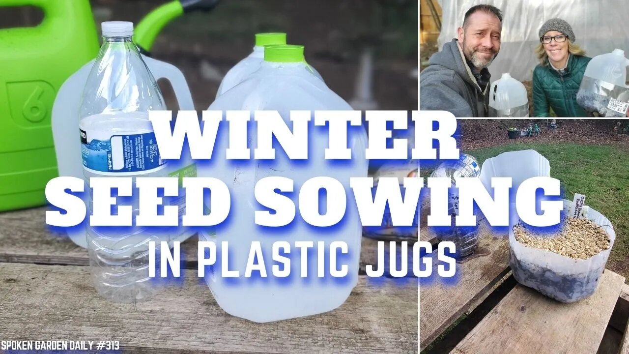 🌱❄ Winter Seed Sowing in Plastic Bottles - SGD 313 ❄🌱