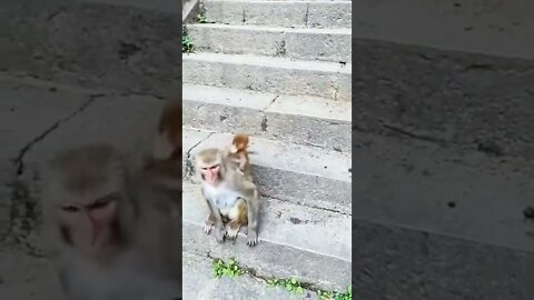 amazing video 😍😍😍 | amazing views video 😳😳 | natural amazing video ❤ whatsapp comedy #shorts