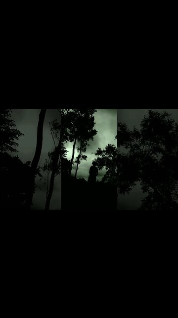 15 August Indian flag status #shortsvideo #ironman