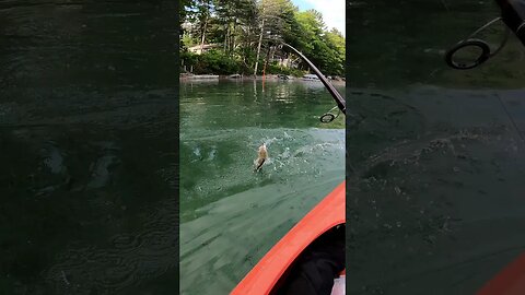 catching smallmouth bass