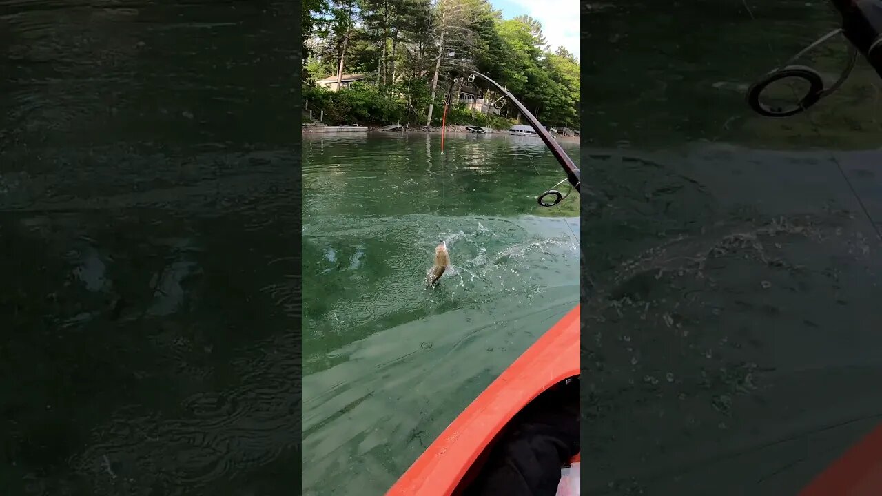 catching smallmouth bass