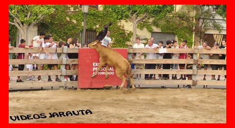 FONTELLAS ( NAVARRA ) TARDE VACAS PLAZA ( VIERNES 2 SEPTIEMBRE 2022 ) ARRIAZU