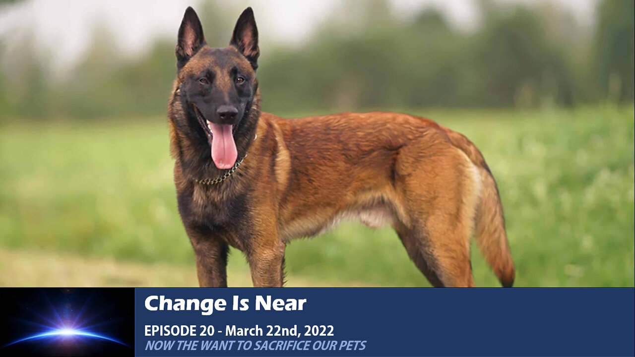 Episode 20 - Now they want to sacrifice our pets