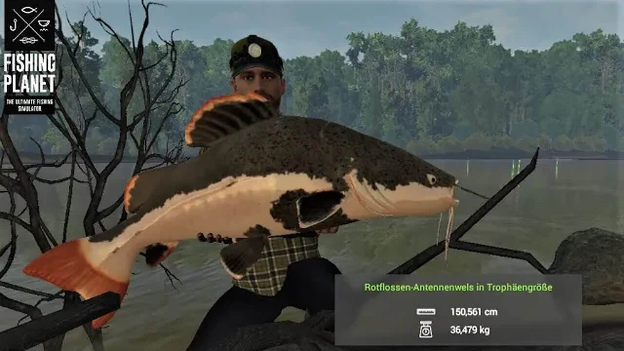 Fishing Planet Folge 436 Mission Rotflossen Antennenwels am Marron