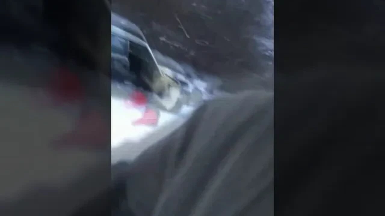 Got Your Chicken
