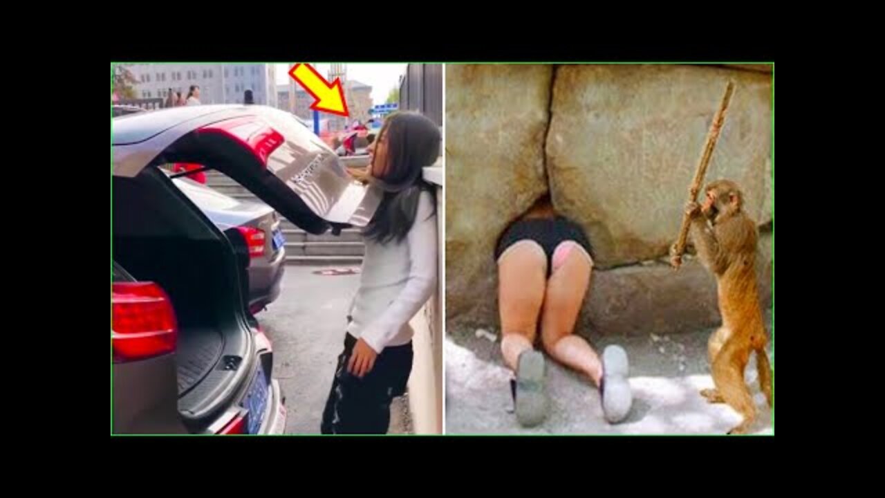 Best Funny Videos - Funny Compilation Happen Unexpectedly 😆😂🤣