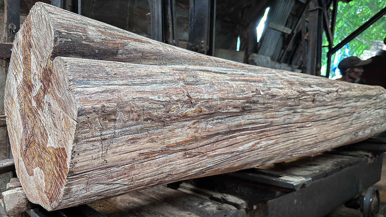 Sawmill Long Giant Valuable Teak Wood