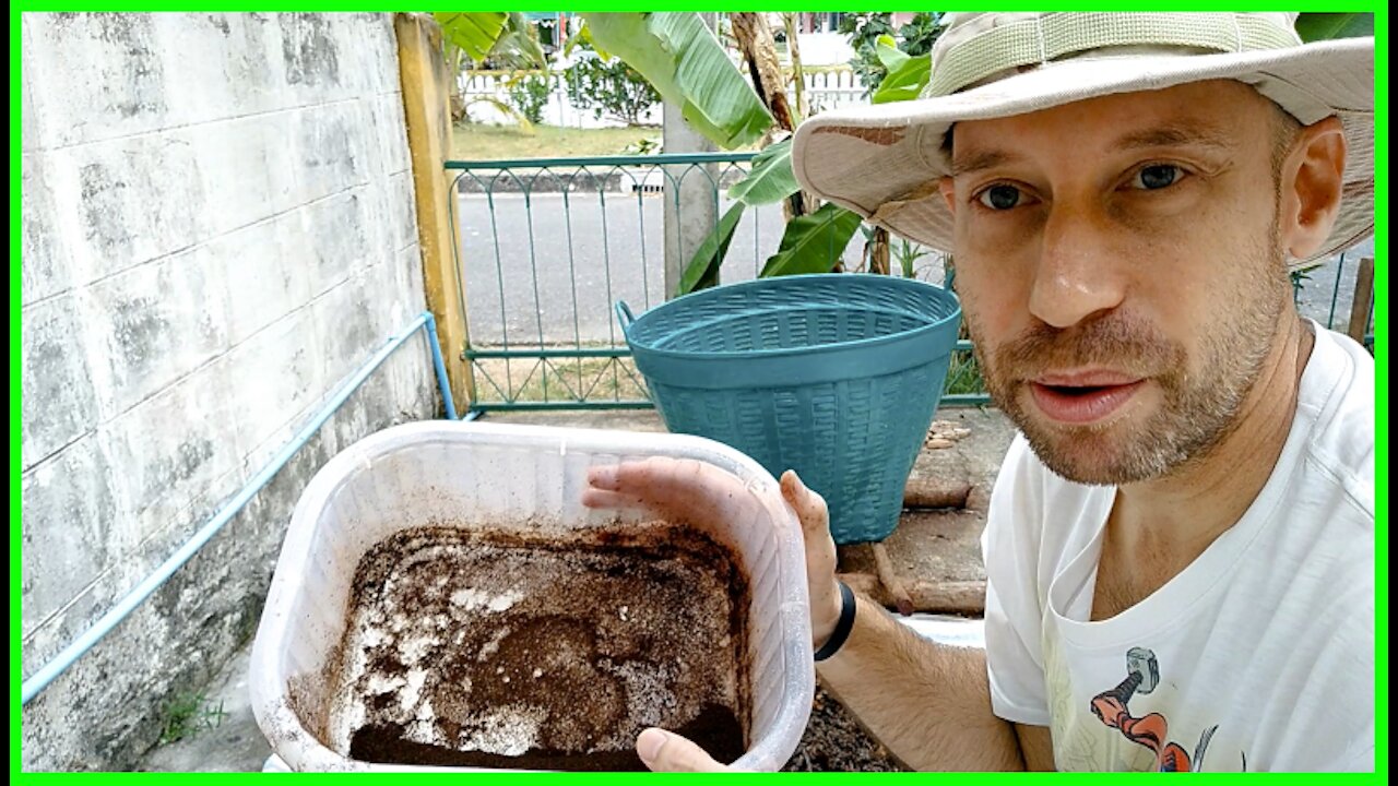 18 Day Tropical Hot Compost Method—Day 10 4th Flip