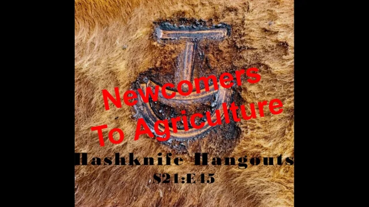 NEW to Agriculture? | Advice from a Montana Rancher | Hashknife Ranch (Hashknife Hangouts - S21:E45)