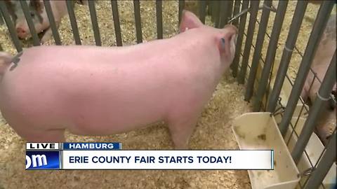 Thuy Lan is live at the Erie County Fair