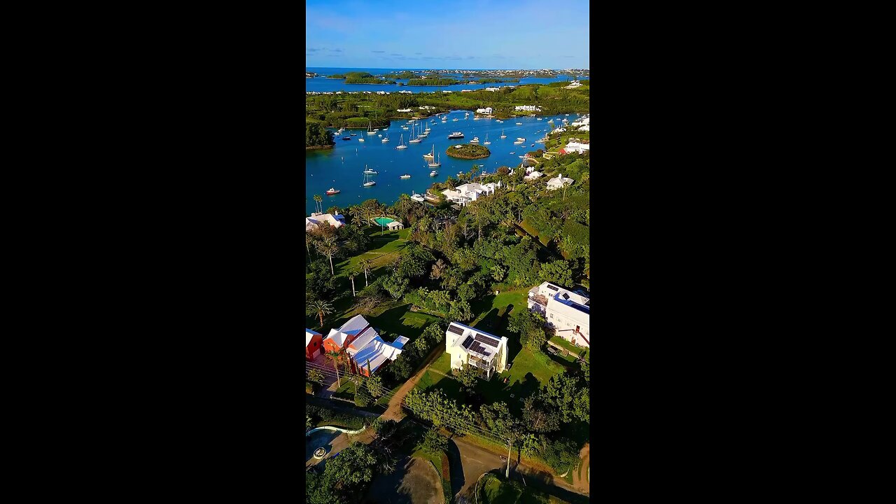 Beautiful paradise called Bermuda featuring exotic view and palm tree living #realparadise 🇧🇲