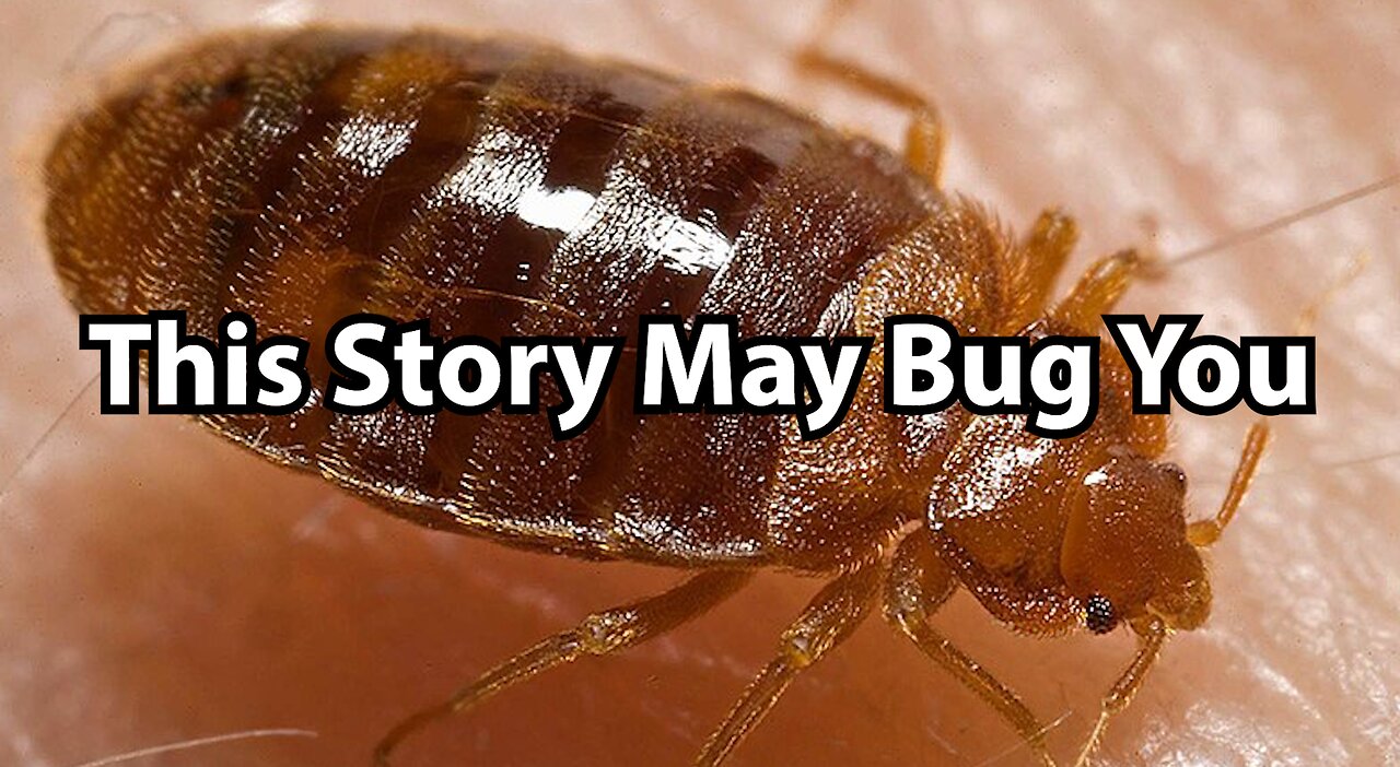 This Story May Bug You