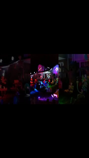 Skeletons Park Halloween House