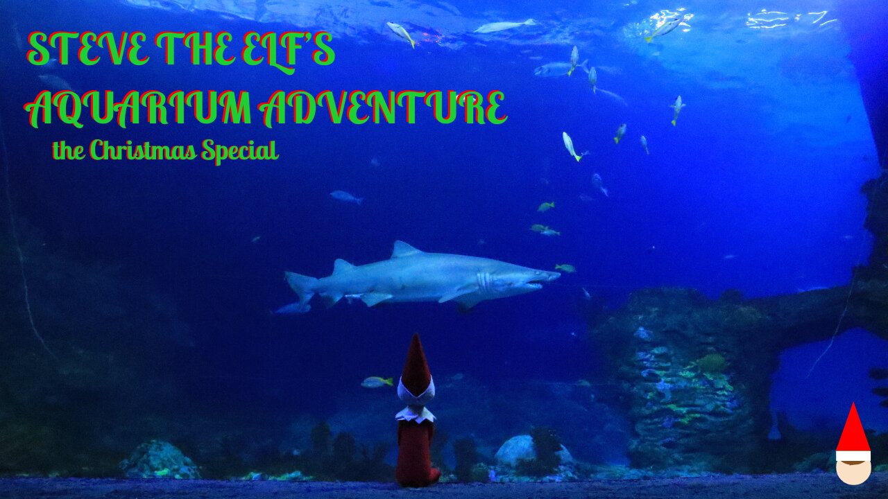 The Christmas Special: Steve The Elf's Aquarium Adventure