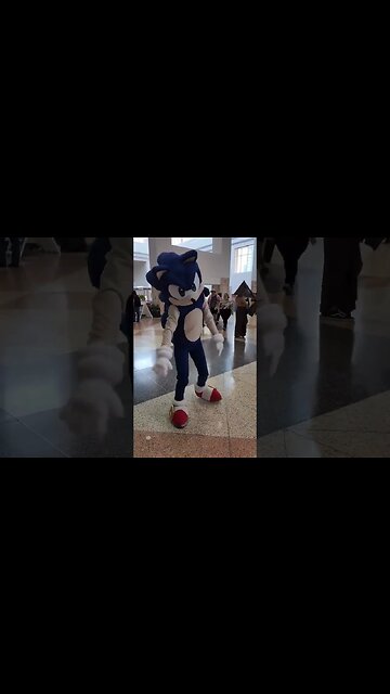 Sonic the Hedgehog | Gotta Go Fast