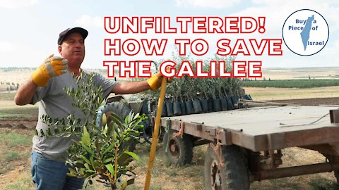 Unfiltered! How to Save The Galilee