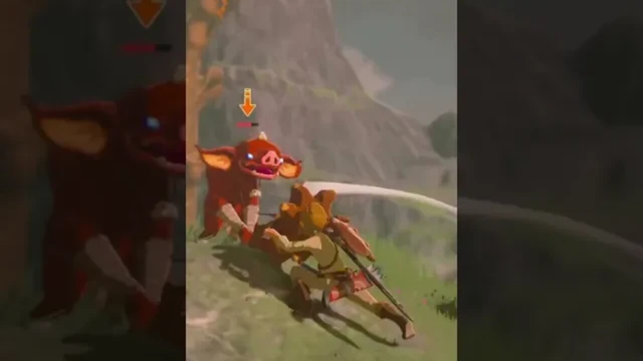 BOTW: Bokoblin Blitz... Bye Bye!!