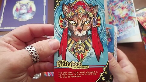 Unboxing Mythic Cats Oracle set by Jessica Feinberg