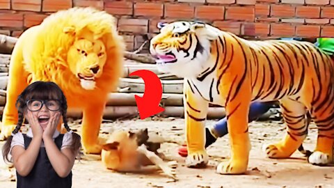 Funny Prank Dogs | When Dog See Fake Lion and Fake Tiger ???