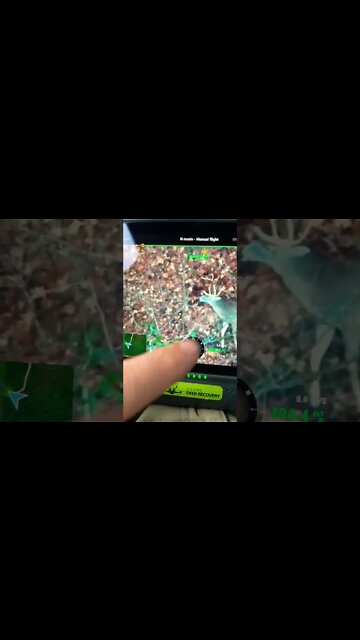 DJI Drone Locates Dead Buck