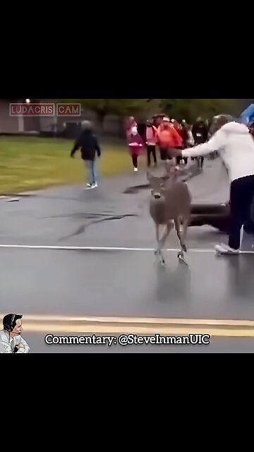 Grandma got run over by a reindeer. For real.